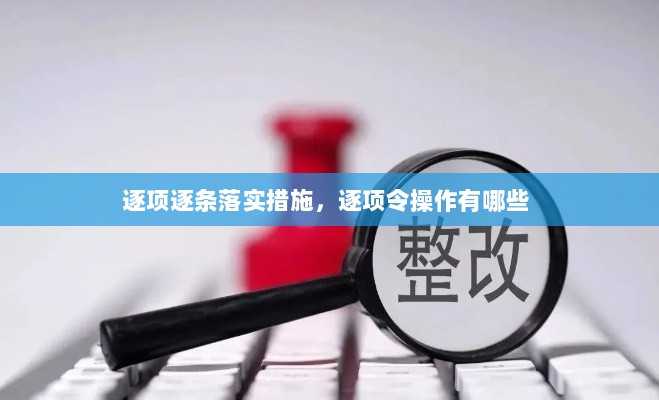 逐项逐条落实措施，逐项令操作有哪些 