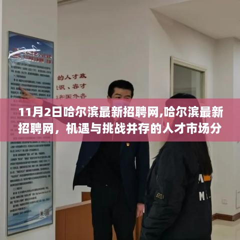 哈尔滨最新招聘网，机遇与挑战并存的人才市场分析（11月2日版）