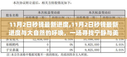 11月2日秒钱最新进度与自然之旅，寻找宁静与美景的呼唤