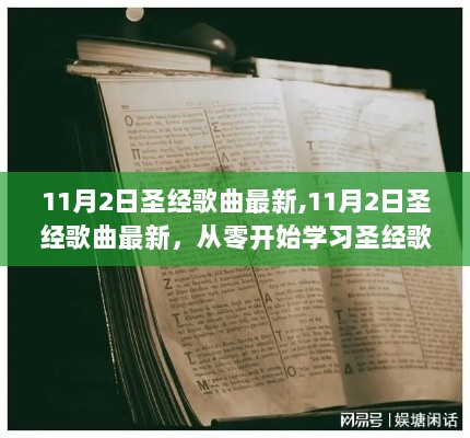 11月2日圣经歌曲最新发布，从零开始学习圣经歌曲的步骤指南