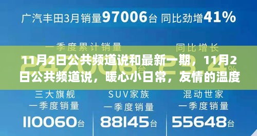 11月2日公共频道，暖心小日常——友情的温度与爱的陪伴