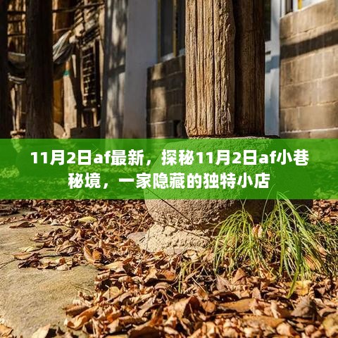 探秘11月2日AF小巷隐藏的独特小店秘境