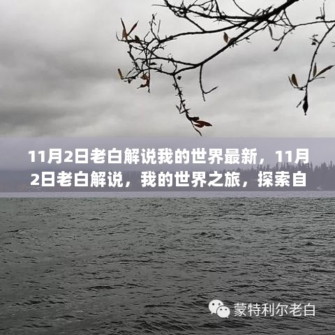 11月2日老白解说，我的世界自然探索之旅，寻找心灵平静的冒险