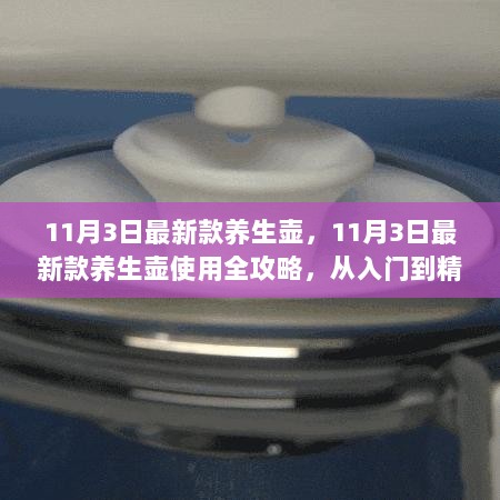 11月3日最新款养生壶使用全攻略，从入门到精通的步骤指南