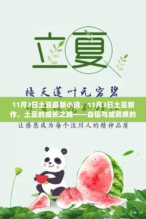 11月3日土豆的成长之路，新作闪耀，自信与成就感的源泉