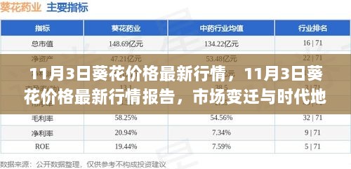 11月3日葵花价格市场深度解析，行情报告与时代地位的变迁