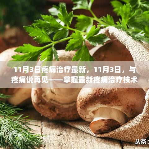 11月3日掌握最新疼痛治疗技术，自信迎接美好未来——与疼痛说再见的秘诀