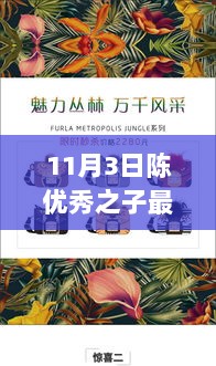 陈优秀之子，成长轨迹与未来展望的最新动态（11月3日）