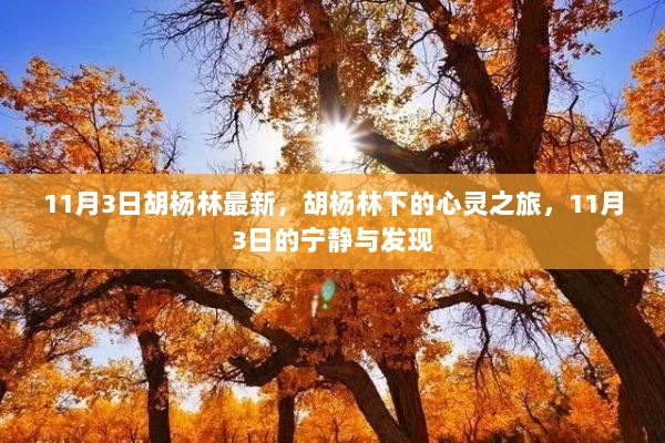 11月3日胡杨林之旅，宁静与发现的心灵之旅