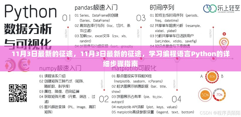 11月3日Python编程语言学习详细步骤指南，最新征途的启程