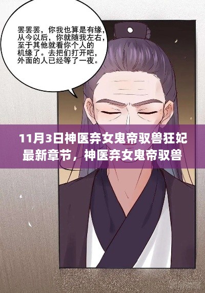 神医弃女鬼帝驭兽狂妃，影响与价值的深度探讨