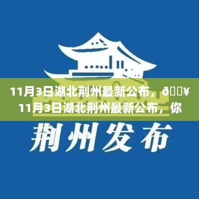 11月3日湖北荆州热点资讯一览