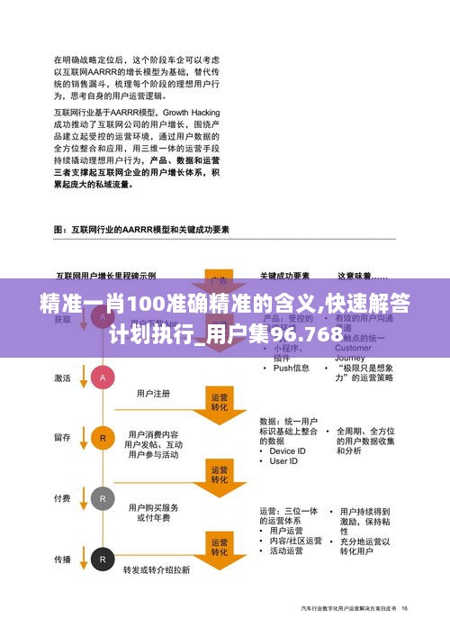 精准一肖100准确精准的含义,快速解答计划执行_用户集96.768