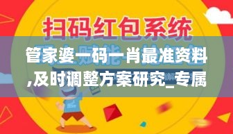 管家婆一码一肖最准资料,及时调整方案研究_专属版27.393