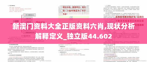 新澳门资料大全正版资料六肖,现状分析解释定义_独立版44.602