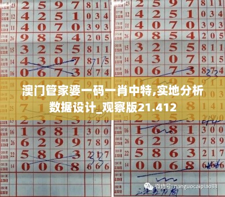 澳门管家婆一码一肖中特,实地分析数据设计_观察版21.412