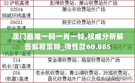 澳门最准一码一肖一特,权威分析解答解释策略_弹性款60.885