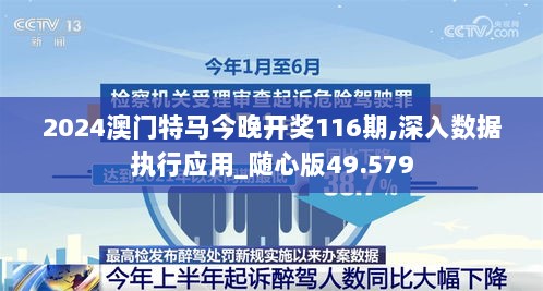 2024澳门特马今晚开奖116期,深入数据执行应用_随心版49.579