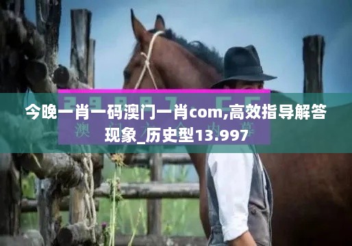 今晚一肖一码澳门一肖com,高效指导解答现象_历史型13.997