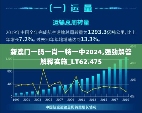 新澳门一码一肖一特一中2024,强劲解答解释实施_LT62.475