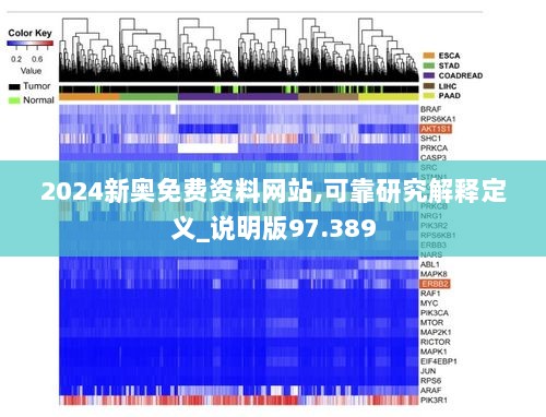 2024新奥免费资料网站,可靠研究解释定义_说明版97.389