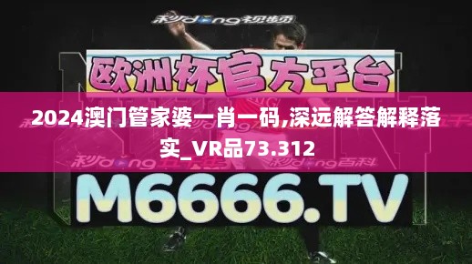 2024澳门管家婆一肖一码,深远解答解释落实_VR品73.312