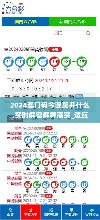 2024澳门码今晚买开什么,实时解答解释落实_适应型5.117