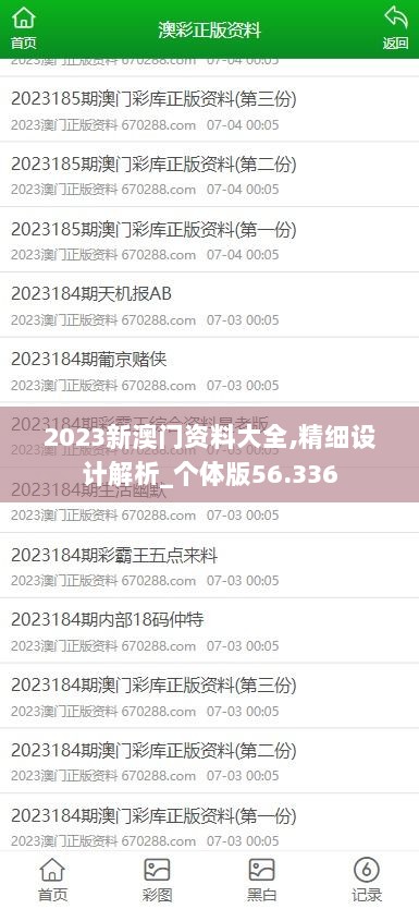 2023新澳门资料大全,精细设计解析_个体版56.336