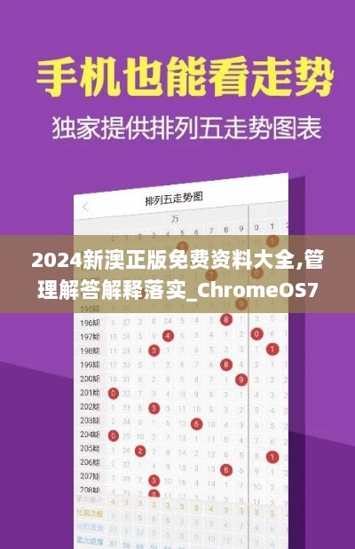 2024新澳正版免费资料大全,管理解答解释落实_ChromeOS70.209