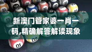 新澳门管家婆一肖一码,精确解答解读现象_FT7.404