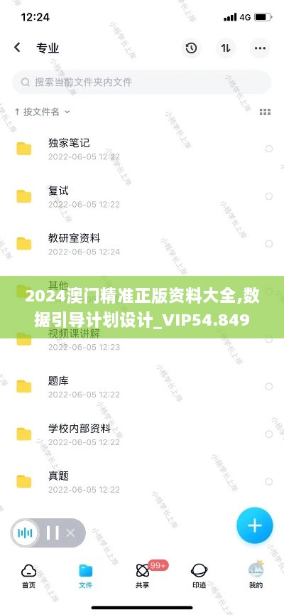 2024澳门精准正版资料大全,数据引导计划设计_VIP54.849