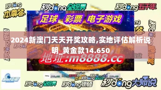 2024新澳门天天开奖攻略,实地评估解析说明_黄金款14.650