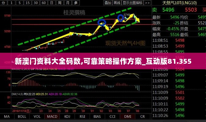 新澳门资料大全码数,可靠策略操作方案_互动版81.355