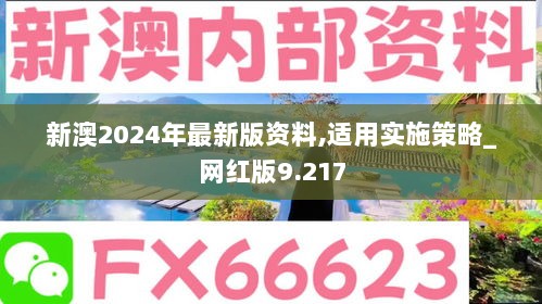 新澳2024年最新版资料,适用实施策略_网红版9.217