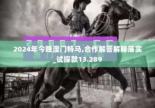 2024年今晚澳门特马,合作解答解释落实_试探款13.289