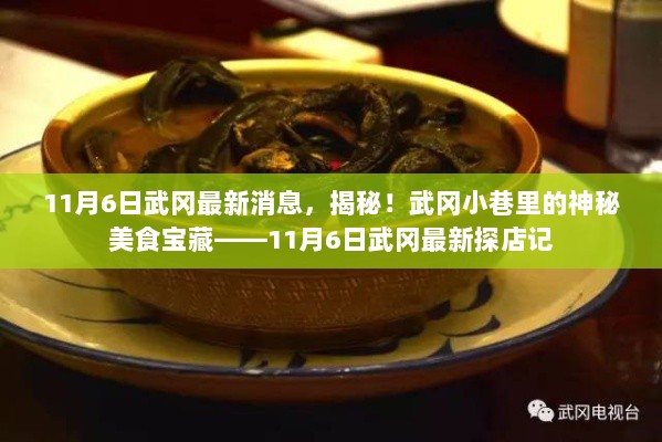 武冈小巷神秘美食宝藏揭秘，11月6日最新探店记