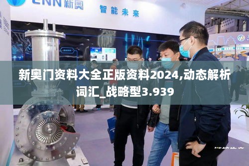 新奥门资料大全正版资料2024,动态解析词汇_战略型3.939