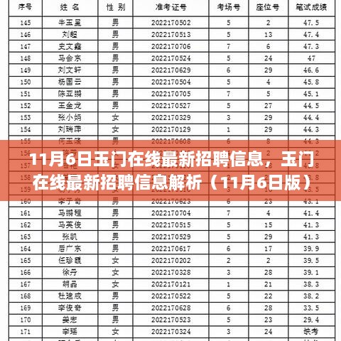 11月6日玉门在线最新招聘信息解析（详细版）