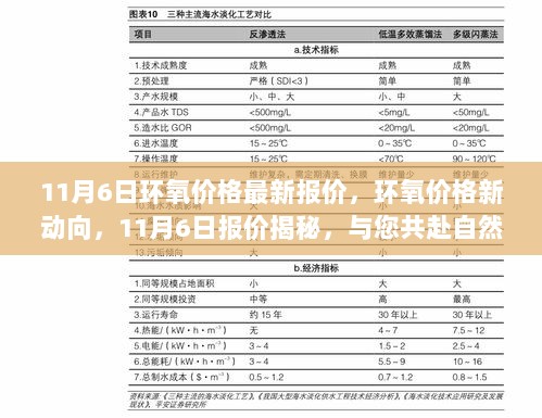 各抒己见 第7页