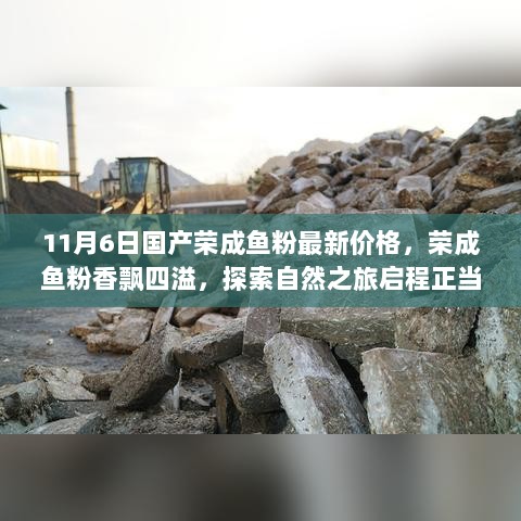 11月6日荣成国产鱼粉价格揭晓，香飘四溢启程自然之旅