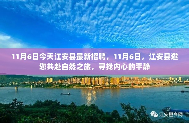 江安县11月6日招聘盛会，邀您共赴自然之旅，寻找职业与心灵的平静