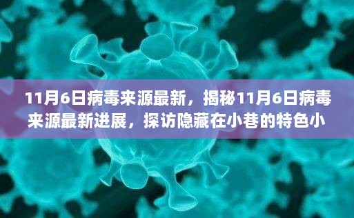 11月6日病毒来源最新进展揭秘，探访隐藏小巷的特色小店与病毒溯源的最新动态