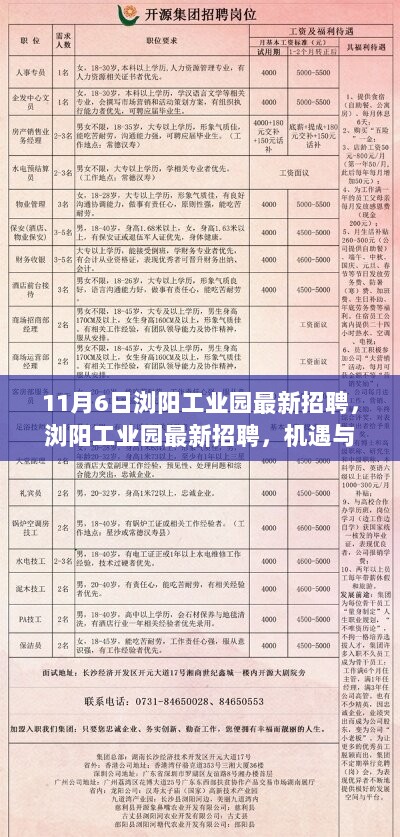 浏阳工业园11月6日最新招聘，机遇与挑战并存