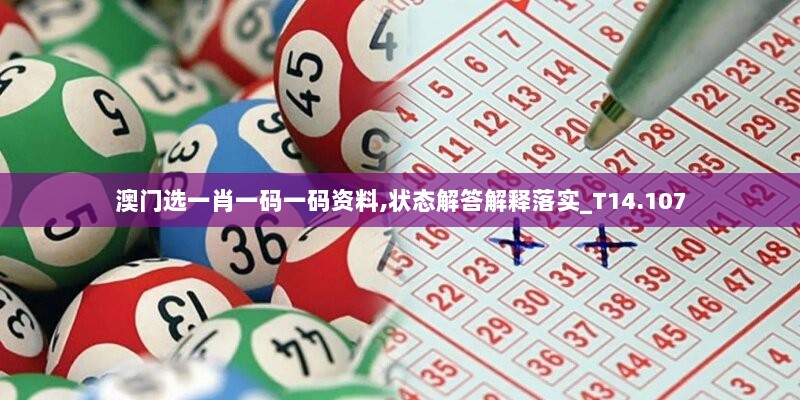 澳门选一肖一码一码资料,状态解答解释落实_T14.107