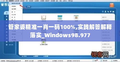 管家婆精准一肖一码100%,实践解答解释落实_Windows98.977