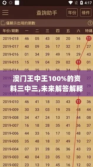 澳门王中王100%的资料三中三,未来解答解释落实_复古款95.100