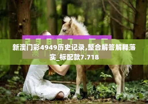 新澳门彩4949历史记录,整合解答解释落实_标配款7.718