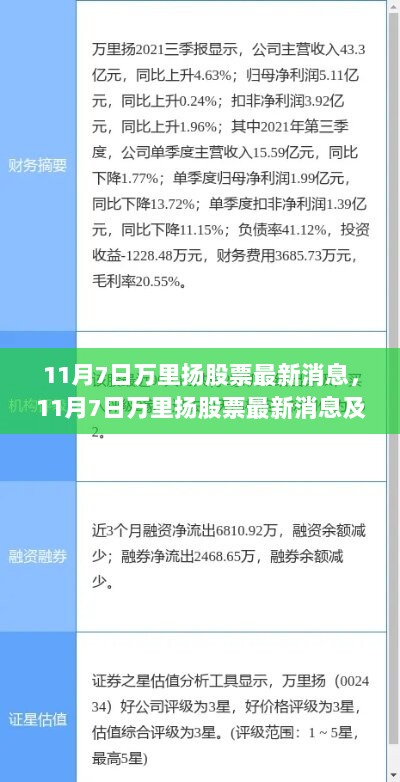 11月7日万里扬股票最新消息及市场分析