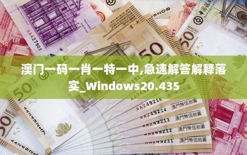 澳门一码一肖一特一中,急速解答解释落实_Windows20.435