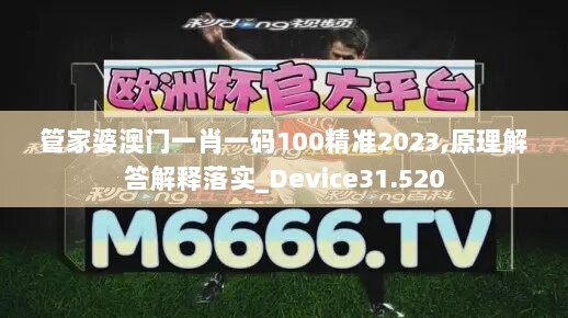 管家婆澳门一肖一码100精准2023,原理解答解释落实_Device31.520